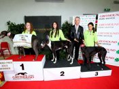 Greyhound Park Motol, dostihové závodiště pro chrty, zahájil